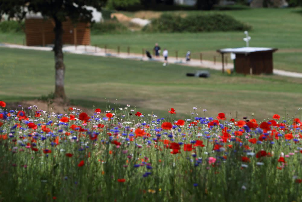 CARHAIX GOLF