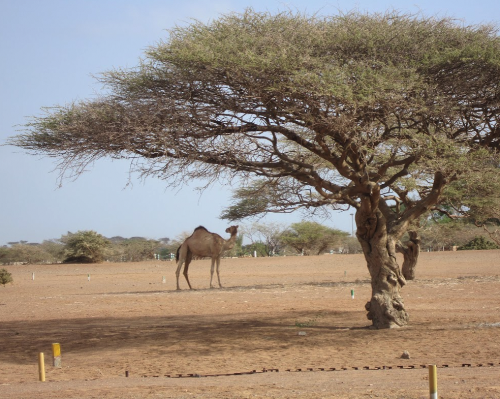 GOLF CLUB DE LA DOUDAH
