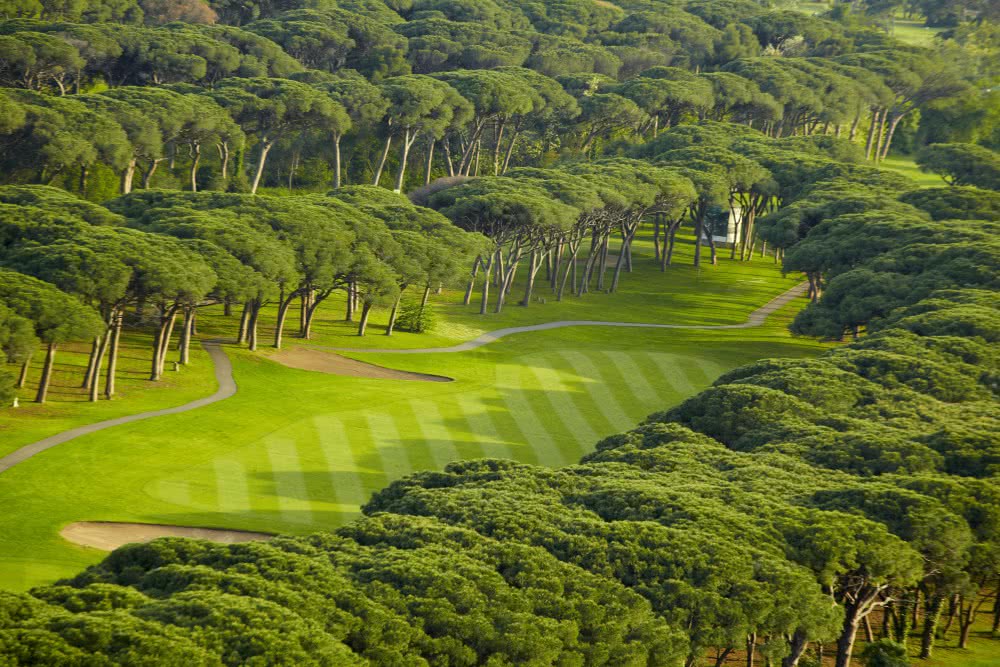 OLD COURSE CANNES MANDELIEU